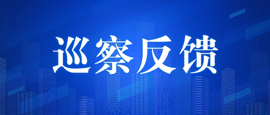 市委第四巡察組向南京市文化投資控股集團有限責任公司黨委反饋巡察情況
